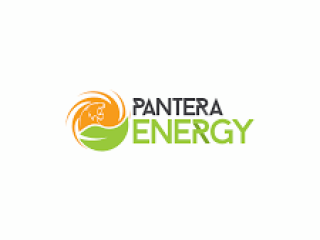 Pantera Energy